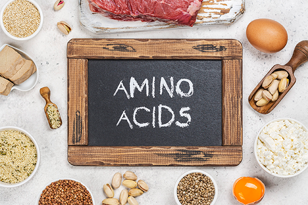 amino acids