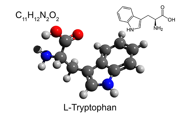l tryptophan chemical makeup