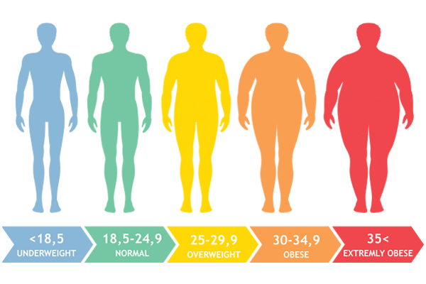 BMI scale