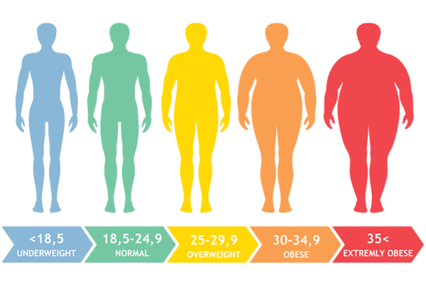 BMI Scale and What Does It Mean