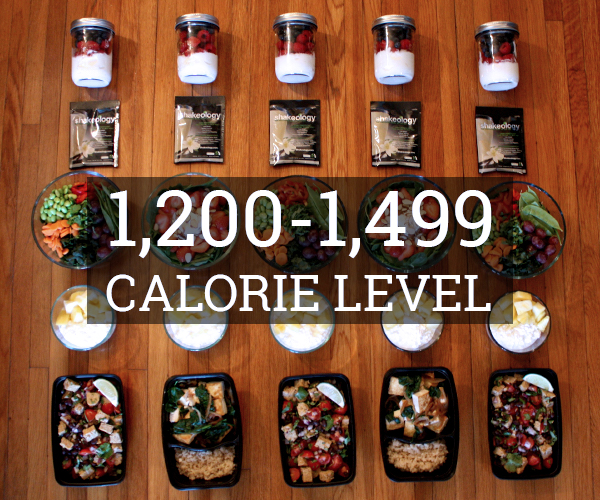Meal Prep 1,200 - 1,499 Calorie Level