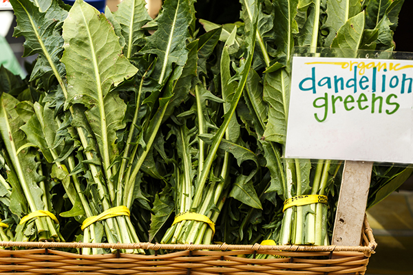 superfoods, dandelion greens