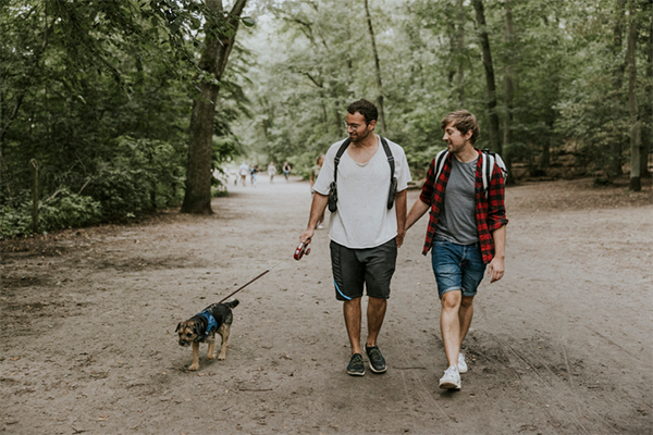 couple with dog walking | 10,000 Steps