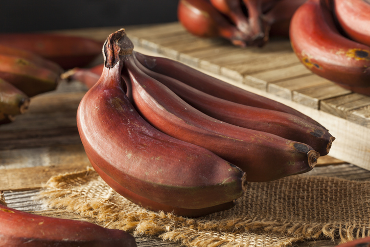 red bananas | banana nutrition facts