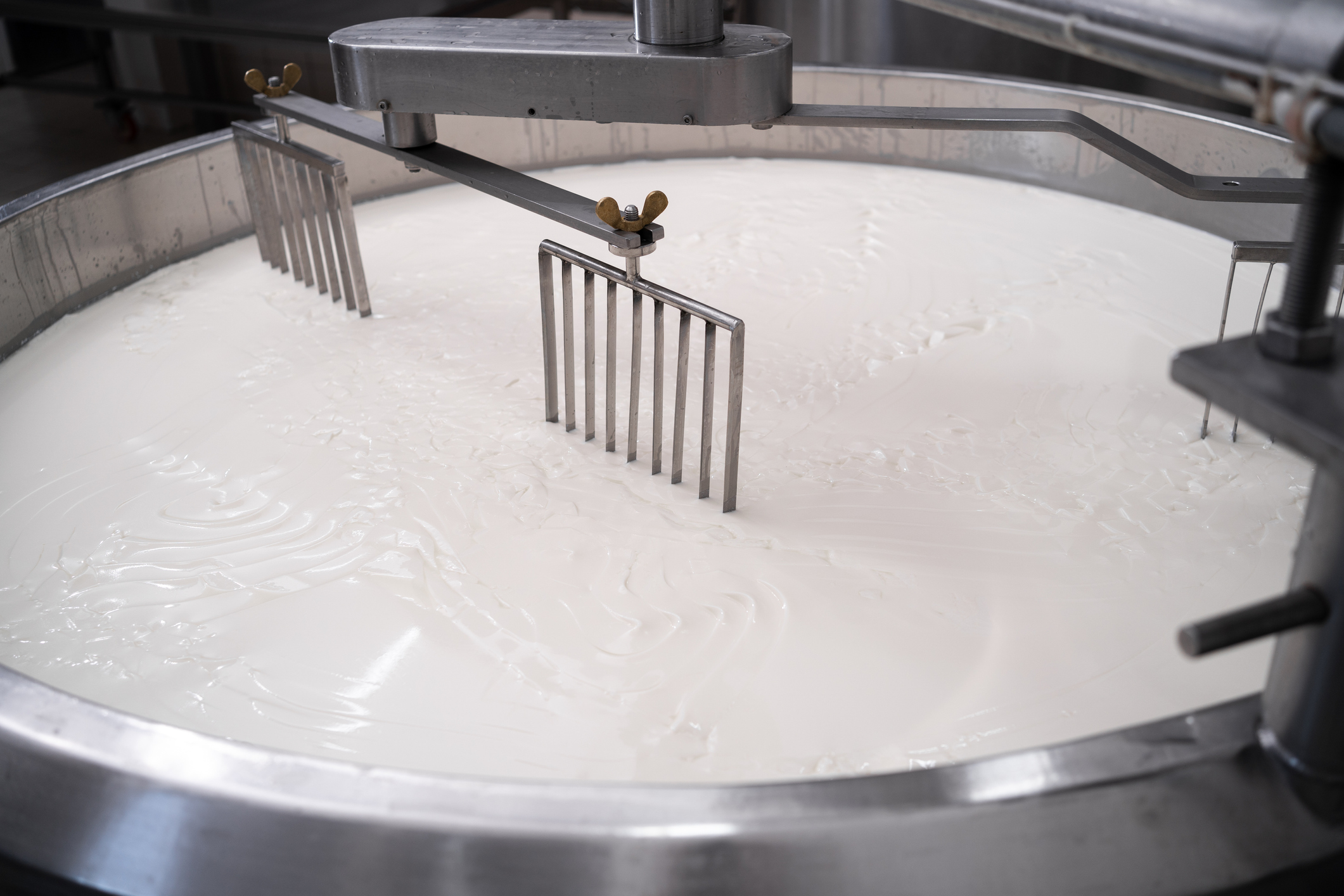 Process of Separating Curds and Whey | Casein Protein