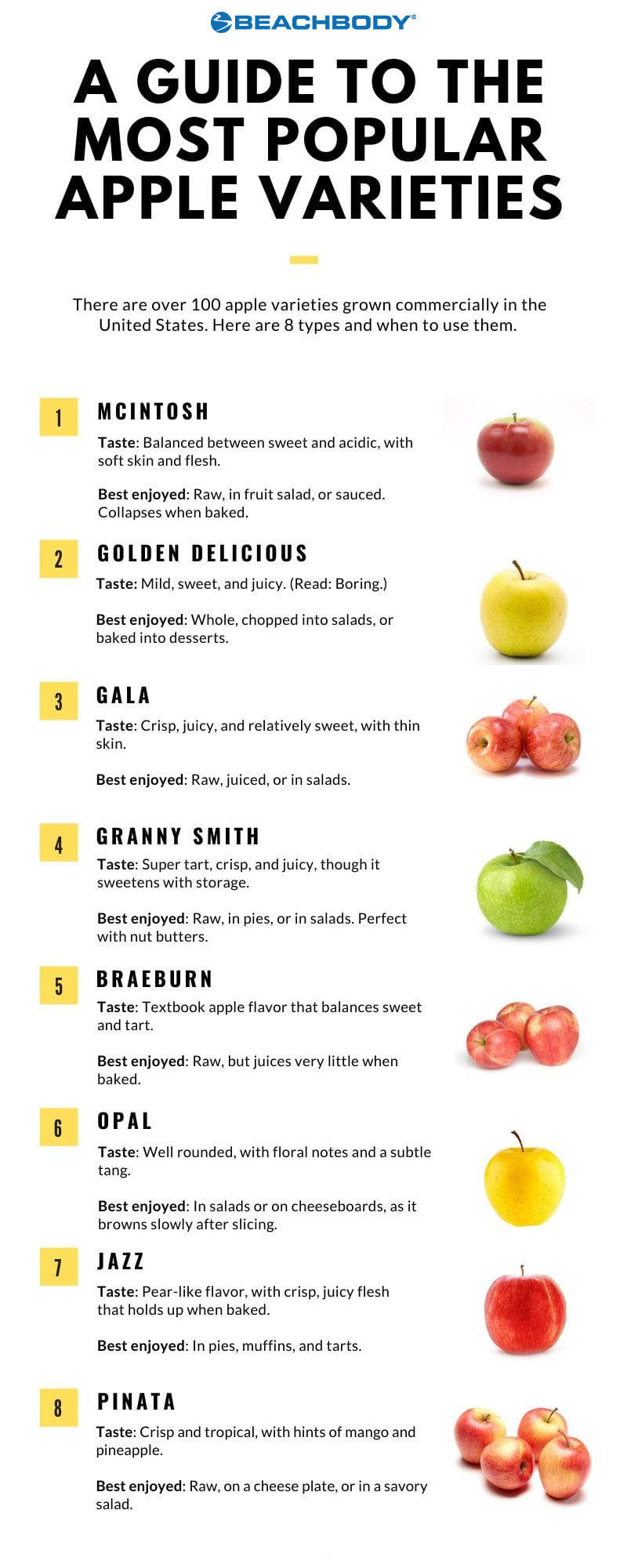 types of apples pin | types of apples