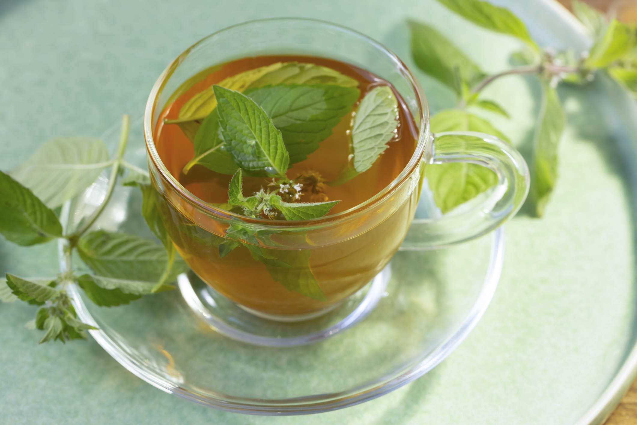 Cup of Green Tea with Mint Leaves | Mindfulness Tips