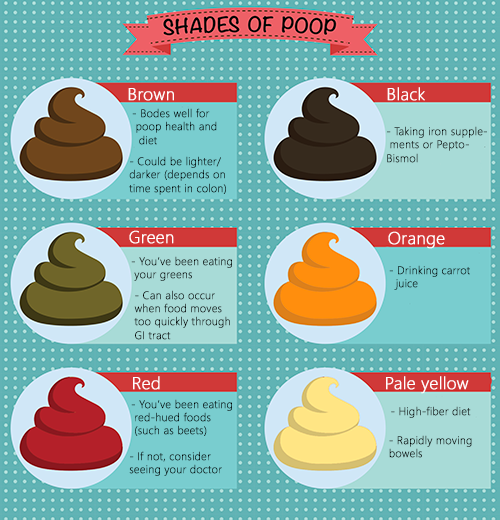 Shades of poop graphic