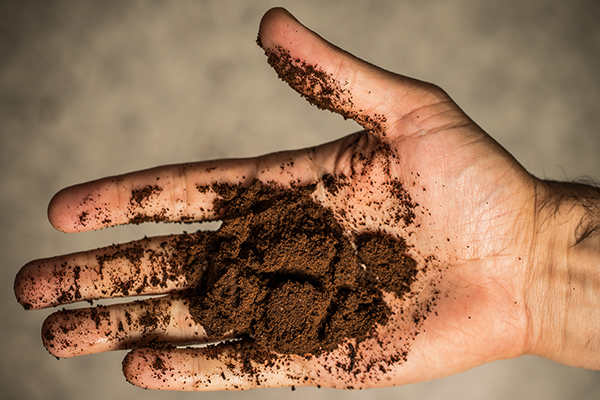 coffee grounds hand | garlic smell