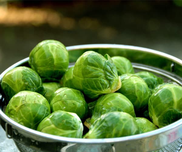 18 Delicious Fall Fruits and Vegetables-Brussels Sprouts