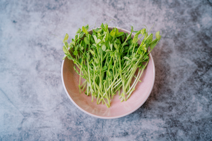 bowl of microgreens | Dark Leafy Greens