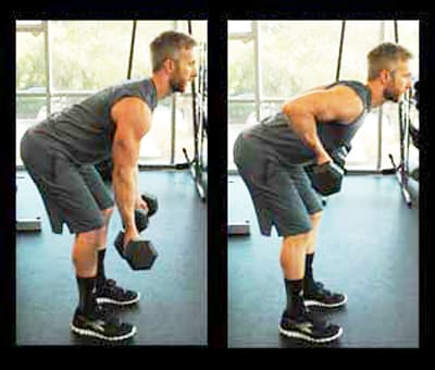 Biceps Workouts Exercises Bent Over Rows