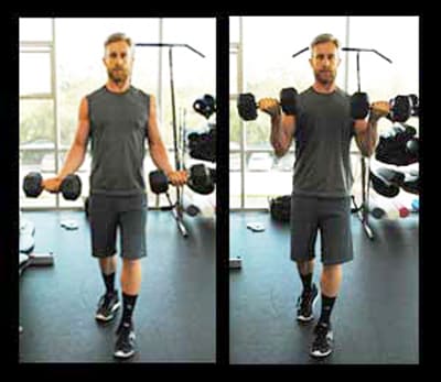 Biceps Workouts Exercises Standing Curl