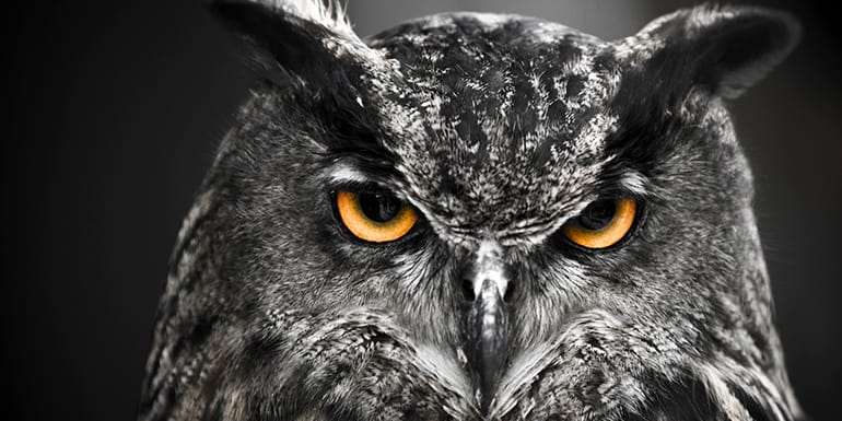 6 Things Only Night Owls Will Understand | BODi