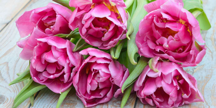 9 Unexpected Ways to Celebrate Mom This Mother’s Day