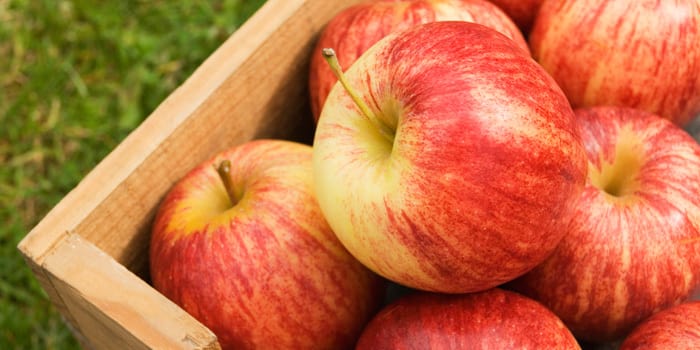 Different Varieties of Apples