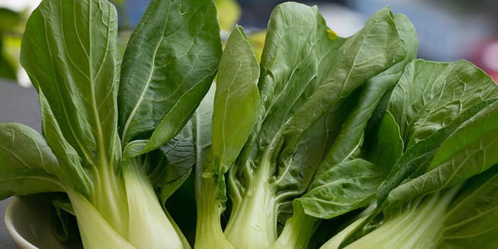 Bok Choy raw