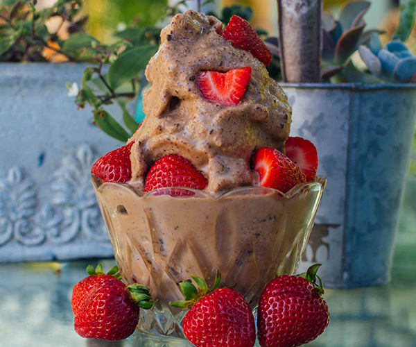 Chocolate Peanut Butter Ice Cream | BeachbodyBlog.com