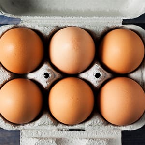 Everything You Need to Know About Eggs
