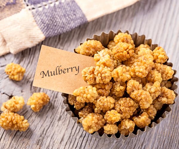 Healthy Snacks for Work Under 200 Calories - Dried Mulberry