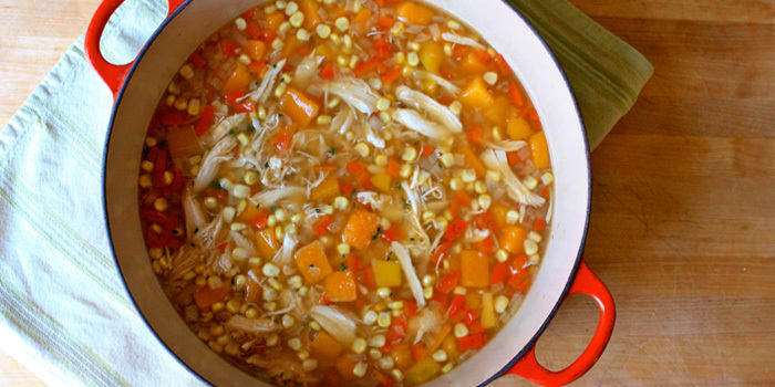 Roasted Chicken & Butternut Squash Soup Recipe | BODi