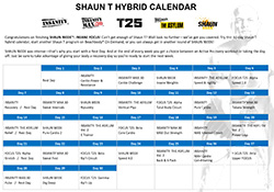 insanity workout calendar printable