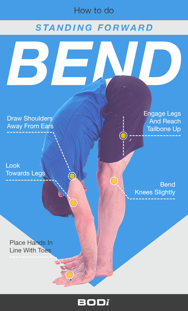 Pin Image Infographic Displaying Standing Forward Bend with BODi Logo | standing forward bend uttanasana