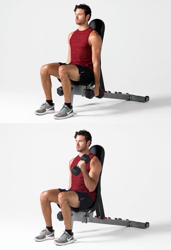 Hammer curl - Strength training workouts