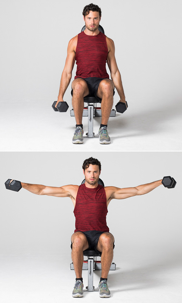 seated dumbbell lateral raise