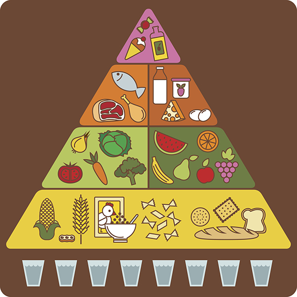 food pyramid, myplate, portion fix, containers, food groups