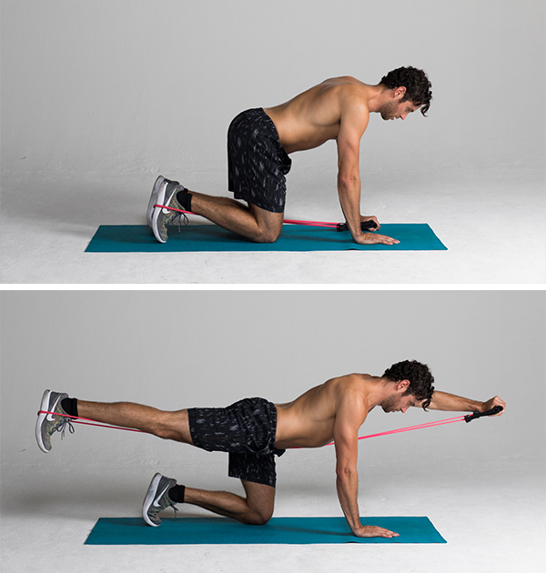 Bird Dog Exercise How To Do It Plus Variations BODi