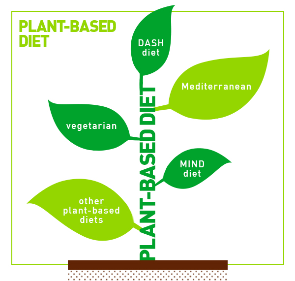 Plant-Based Diet vs. Vegan