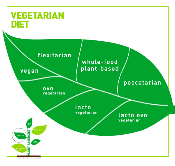 Plant-based diet vs. vegan