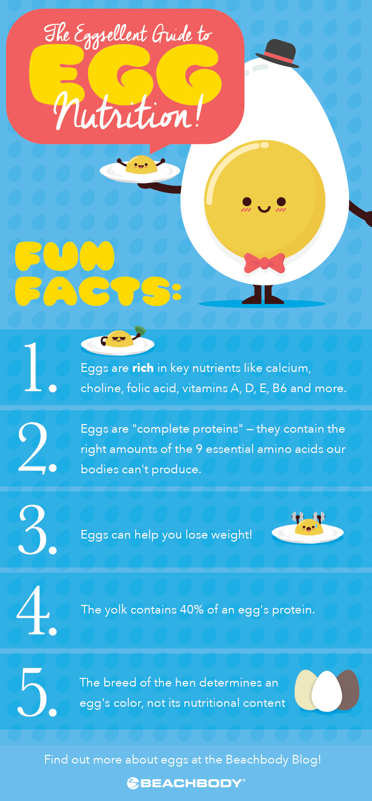 eggs nutrition facts, egg white nutrition facts, egg yolk nutrition 