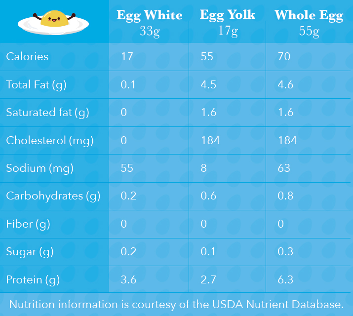The Ultimate Guide To Egg Nutrition BODi egg-white-nutrition-facts-boiled-besto-blog