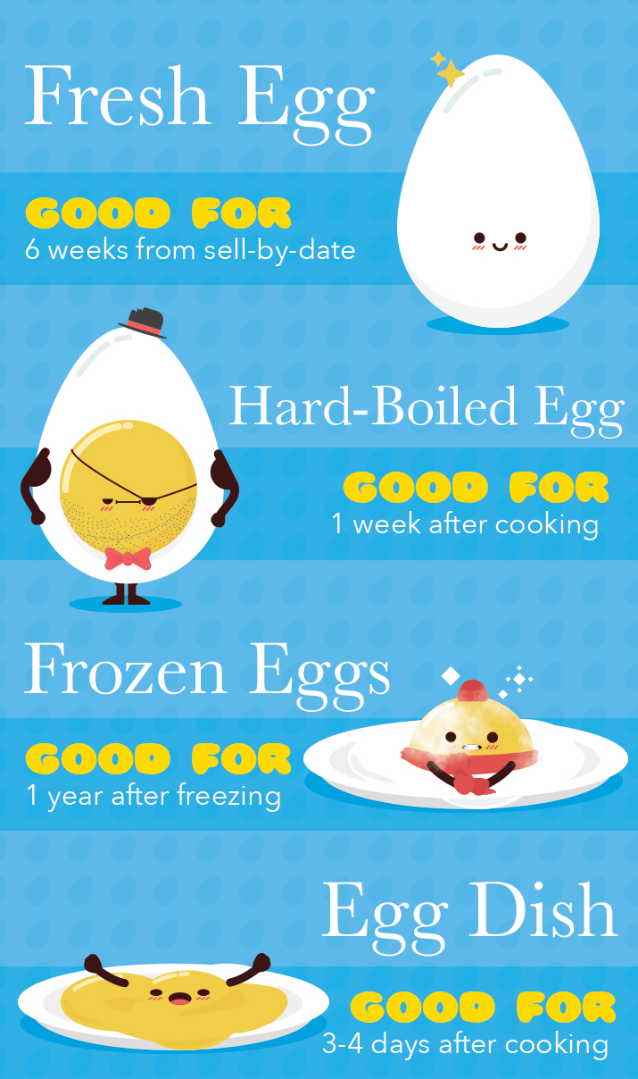 How Long Do Eggs Last and Fresh Egg Facts