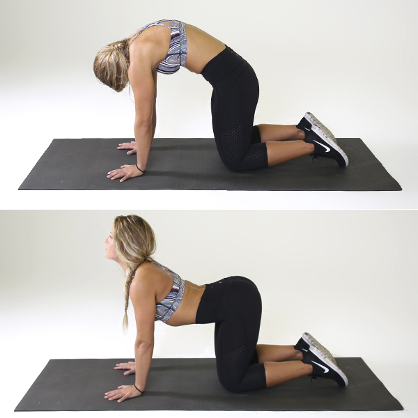 Stretching and Flexibility Exercises