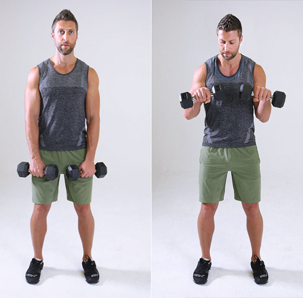 forearm workouts with dumbbells