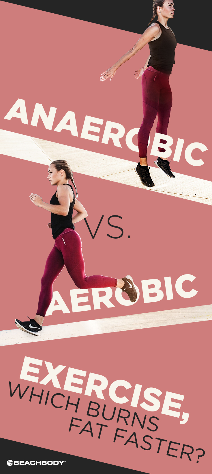 Aerobic respiration online exercise