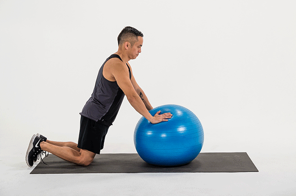 stability ball roll out demonstration | stability ball roll out