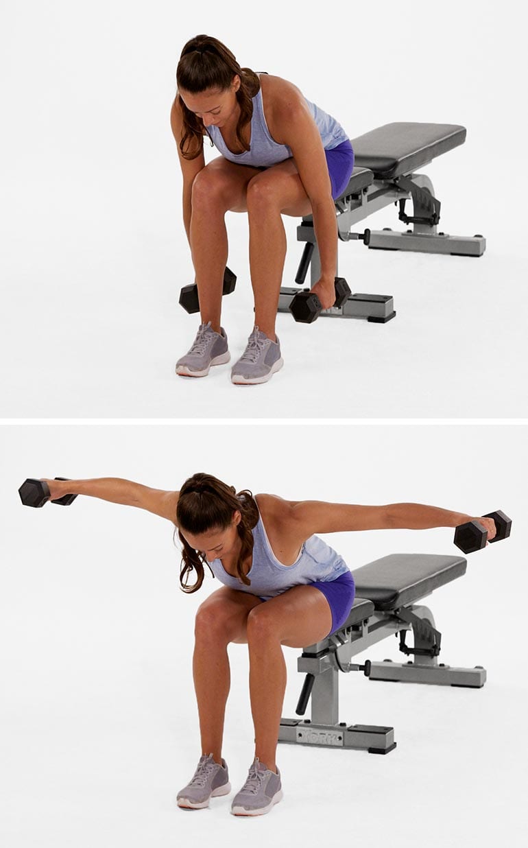 Seated reverse dumbbell fly instructions and video