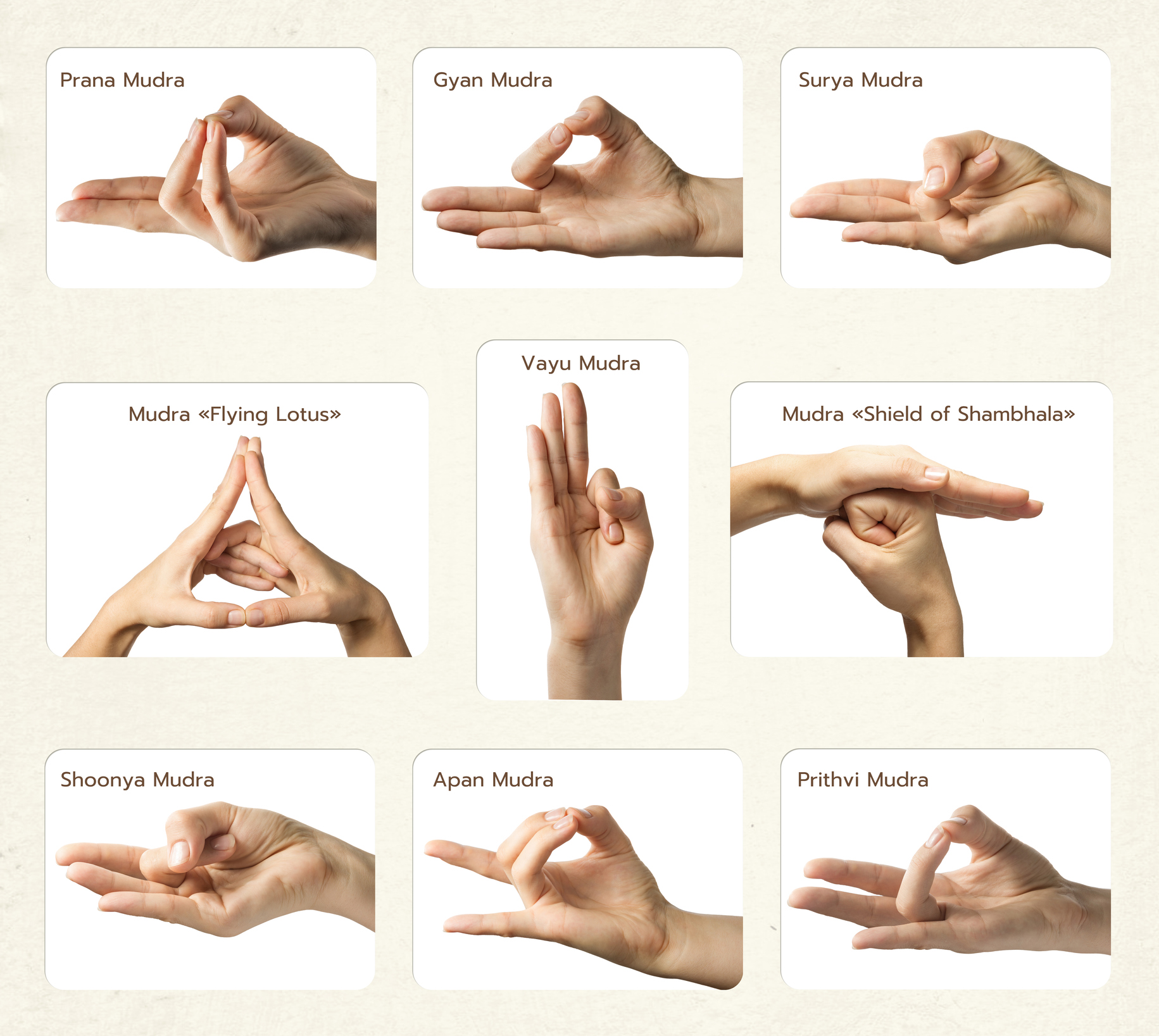 9 examples of Mudra | Yoga Terms