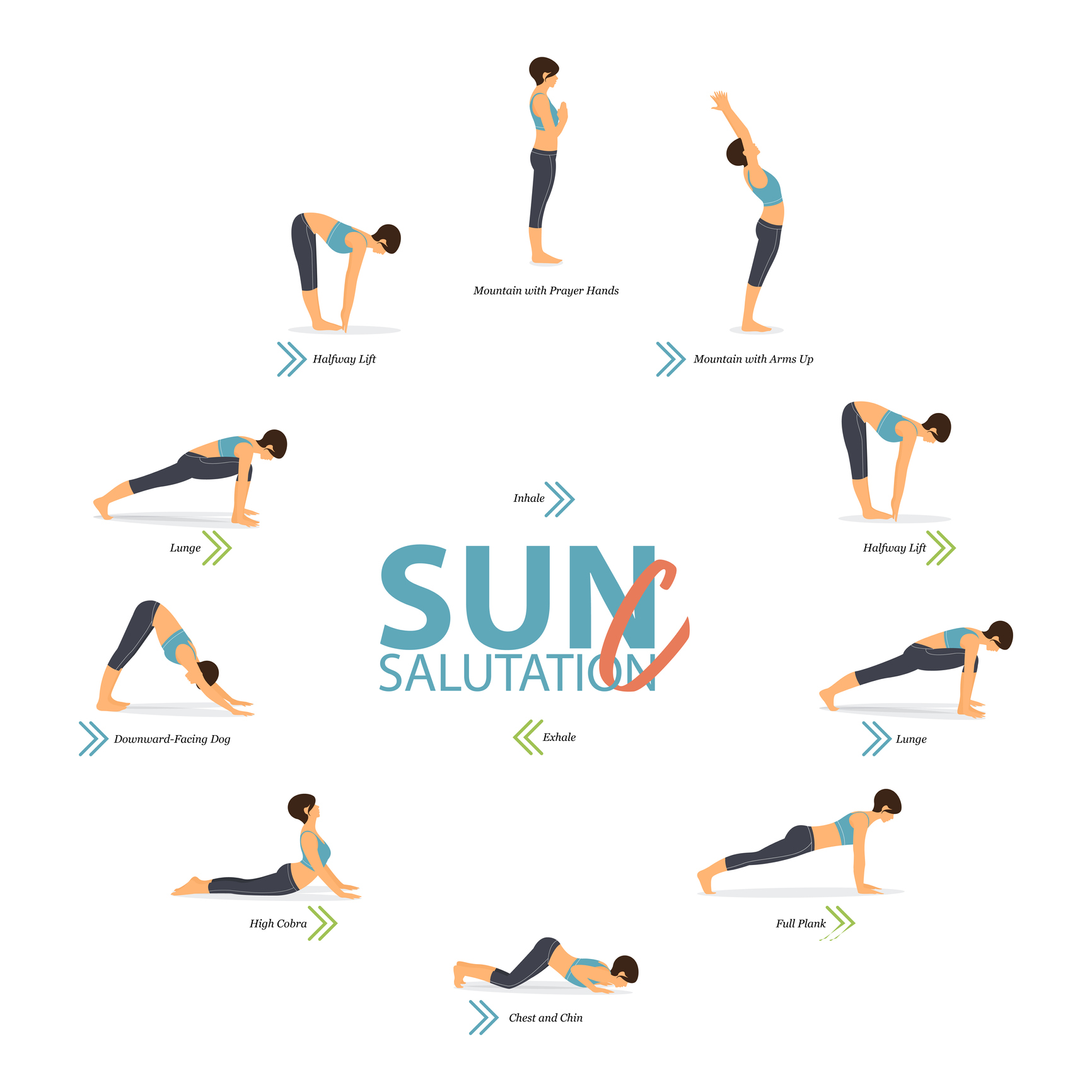 Infographic of Sun Salutations | Yoga Terms