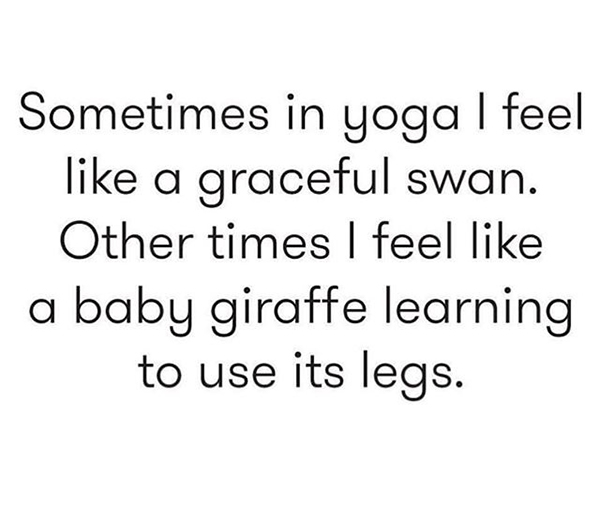 Yoga Quotes