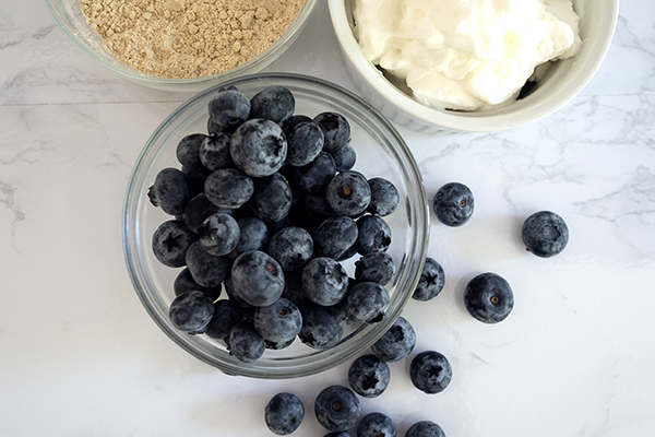 Blueberries, yogurt, Vanilla Shakeology in bowls