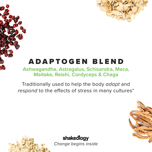 Adaptogens in Shakeology