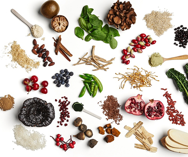 Shakeology Ingredients