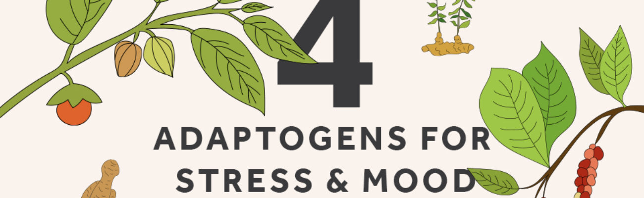 What are adaptogens