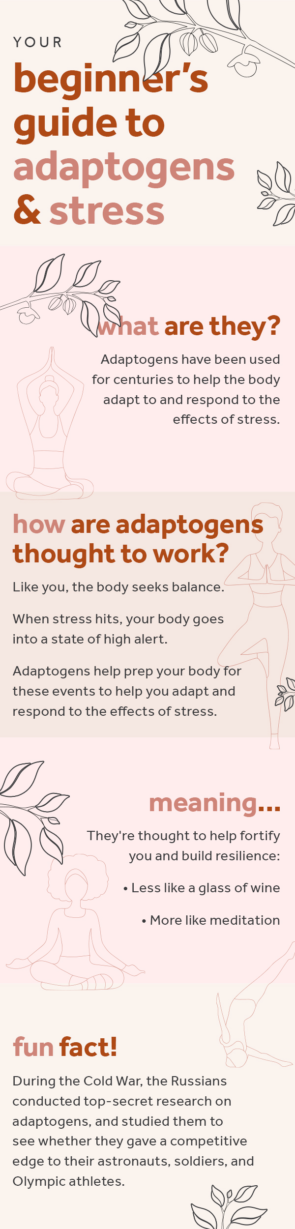 Beginner's Guide to Adaptogens