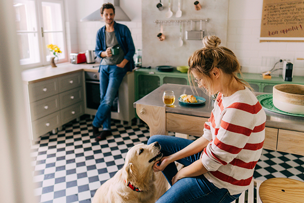 Morning in the kitchen with our dog